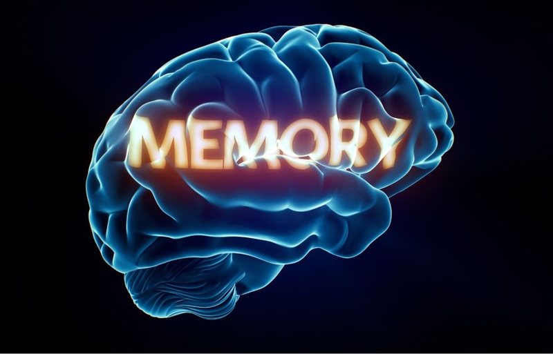 Tổng hợp các trò chơi luyện trí nhớ hiệu quả 1