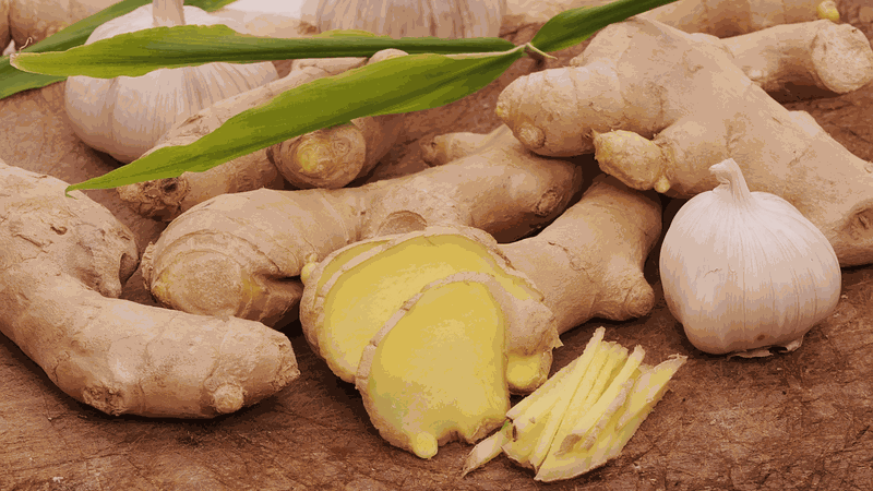 Trộn dầu gội với vài giọt tinh dầu này giảm rụng tóc hiệu quả 3