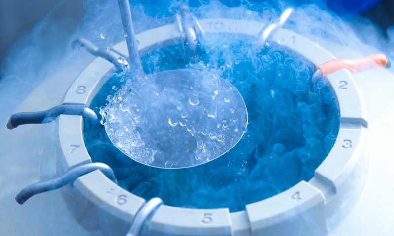 Trữ lạnh phôi lâu có gây ảnh hưởng đến chất lượng hay không 1