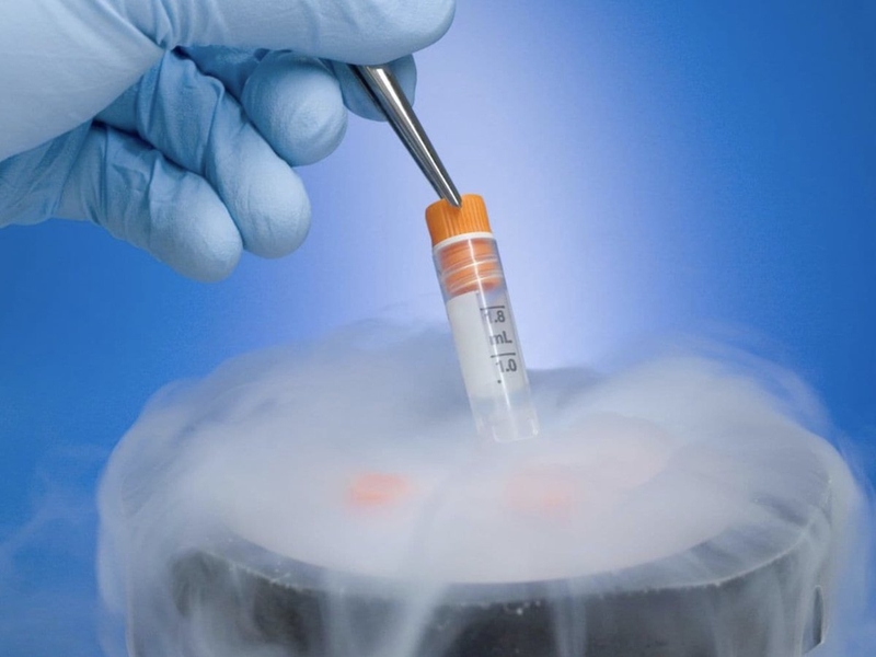 Trữ lạnh phôi lâu có gây ảnh hưởng đến chất lượng hay không 2