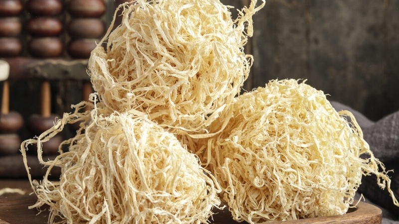 Trúc nhự là cây gì? Các bài thuốc chữa bệnh từ cây trúc nhự 3