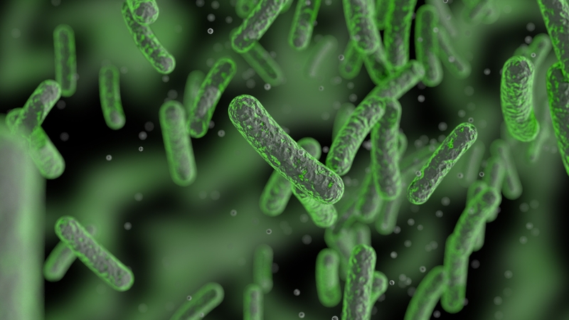 Trứng ba ba có ăn được không? Sự thật dinh dưỡng và cảnh báo sức khỏe bạn cần biết 3