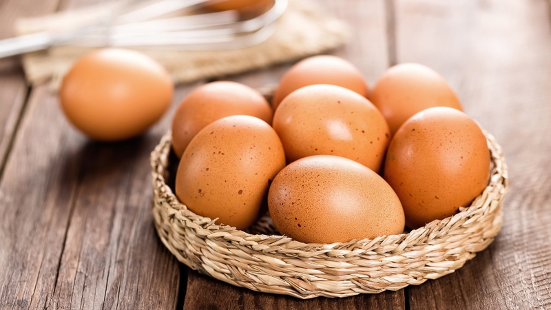 Trứng ba ba có ăn được không? Sự thật dinh dưỡng và cảnh báo sức khỏe bạn cần biết 5