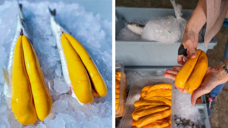 Trứng cá đối: Siêu thực phẩm giàu dinh dưỡng và lợi ích sức khỏe vượt trội 3