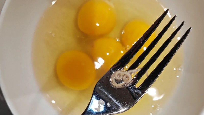 Rất nhiều người tiêu dùng lo lắng&nbsp;trứng gà có sán không?