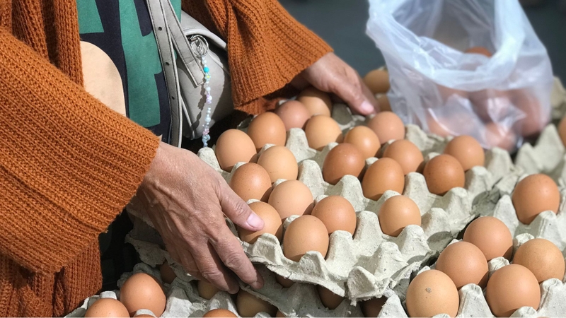 Lựa chọn cơ sở cung cấp trứng đảm bảo chất lượng