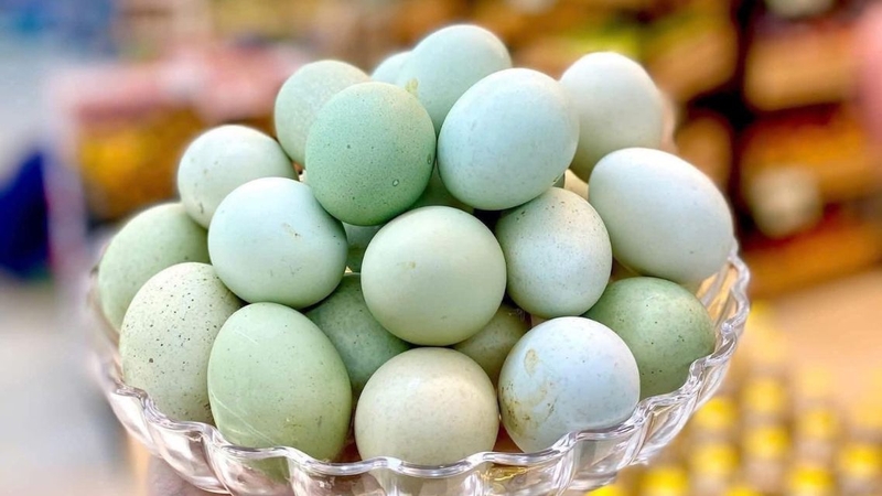 Trứng gà vỏ xanh là nguồn cung cấp protein, vitamin và khoáng chất quan trọng