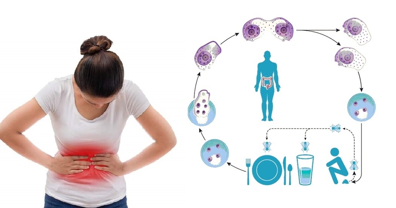 trùng kiết lị 2