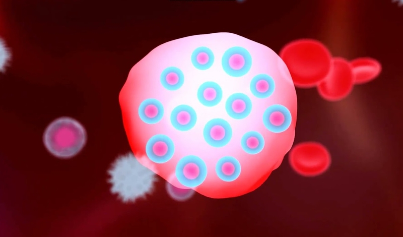 trùng kiết lị 1