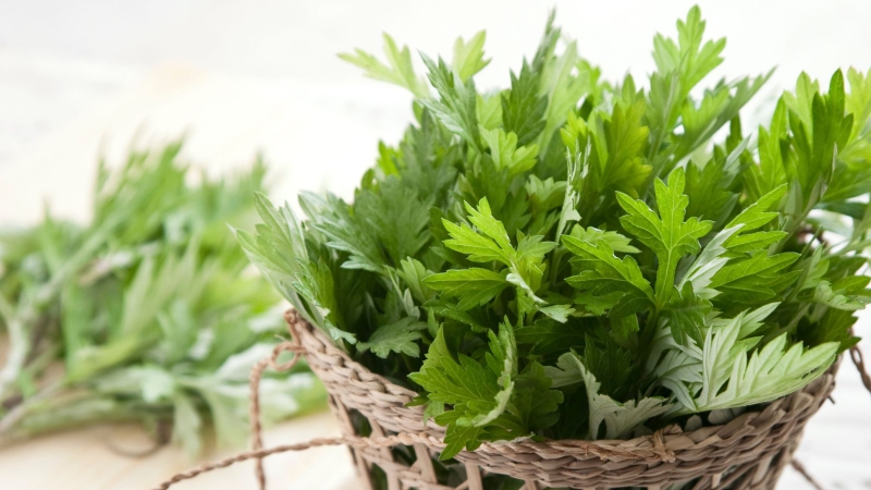 Trứng ngải cứu bao nhiêu calo? Tìm hiểu về món ăn dinh dưỡng này 2