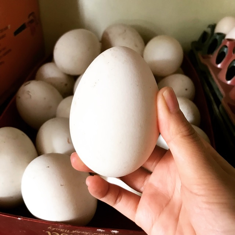 bầu ăn trứng ngỗng tốt không