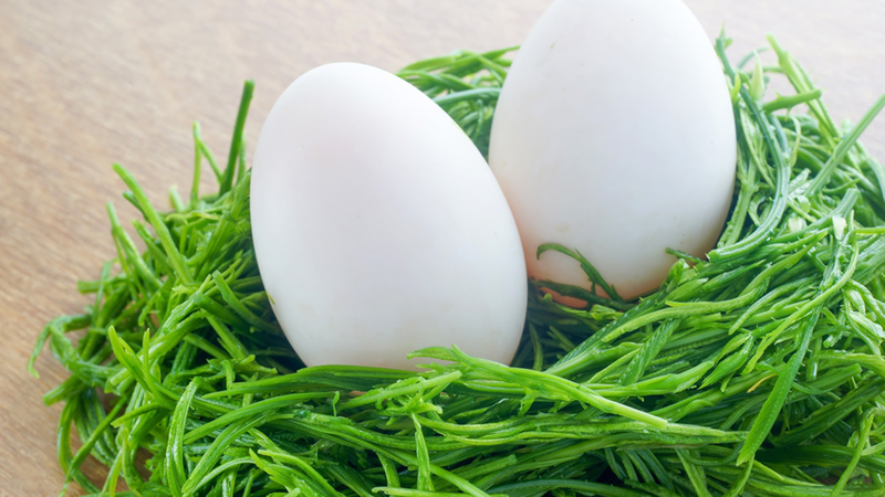 trung-ngong-ky-gi-nhung-dieu-can-luu-y-khi-an-trung-ngong (3).png