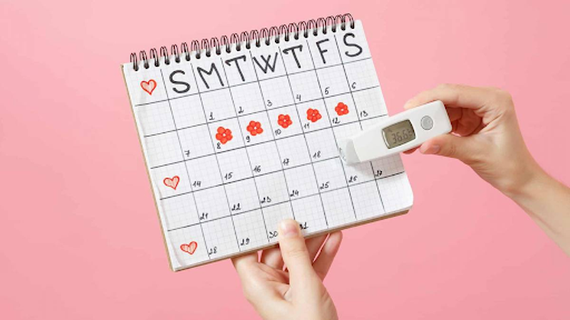 Trứng rụng khi nào còn phụ thuộc vào chu kỳ kinh của mỗi người