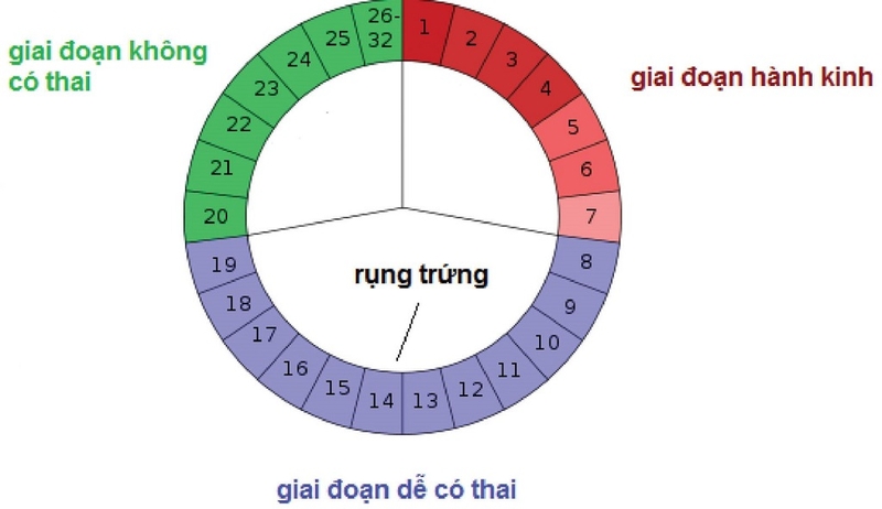 trứng rụng lần 2 khi nào 3