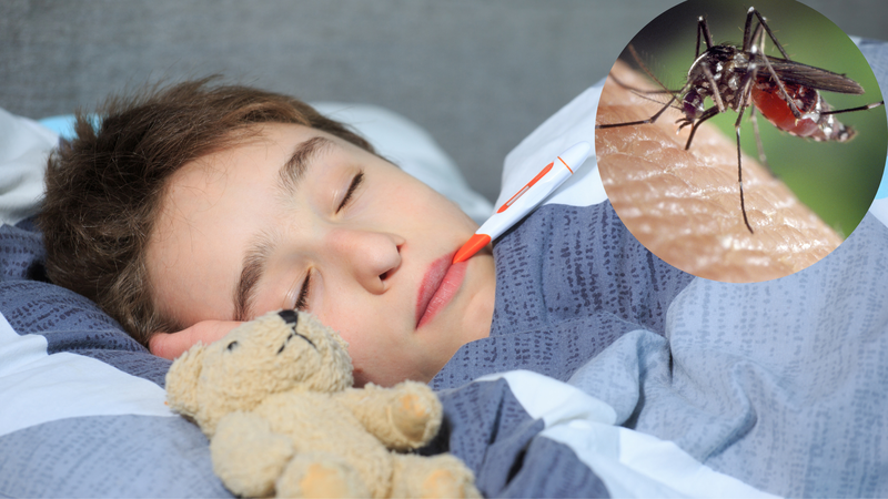 Trùng sốt rét lây nhiễm qua đường nào 1