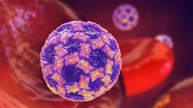 Norovirus là một trong những nguyên nhân gây ra tình trạng trúng thực