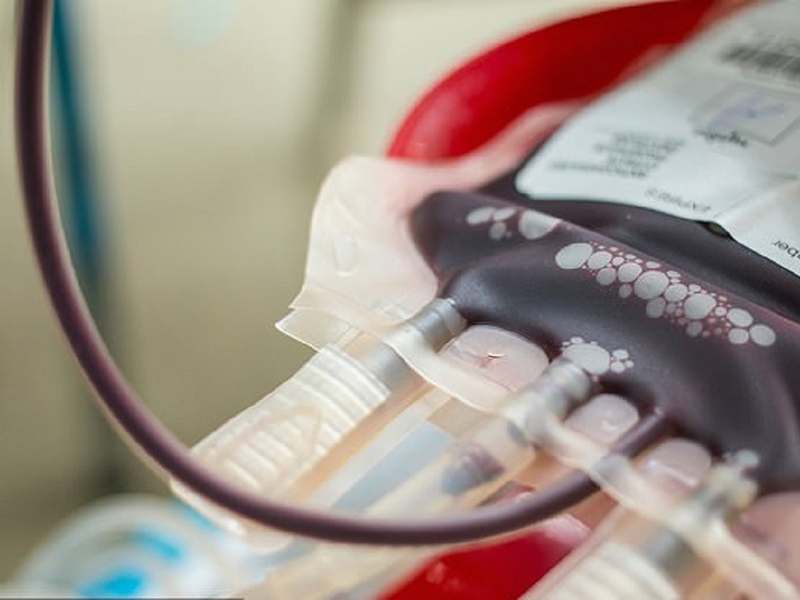 trước khi hiến máu nên ăn gì 1