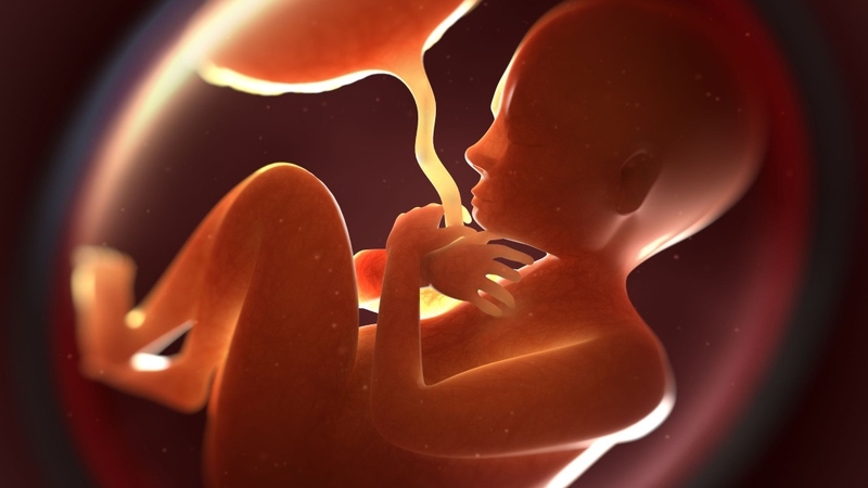 Kháng thể từ mẹ giúp bảo vệ thai nhi khỏi các bệnh trong thai kỳ có thể gây dị tật bẩm sinh và hỗ trợ sự phát triển khỏe mạnh