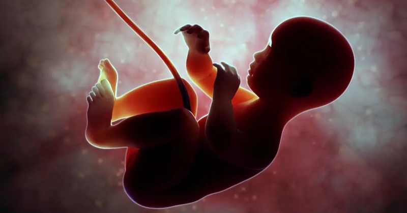 Trường hợp thai ngừng phát triển có cứu được không? - 3