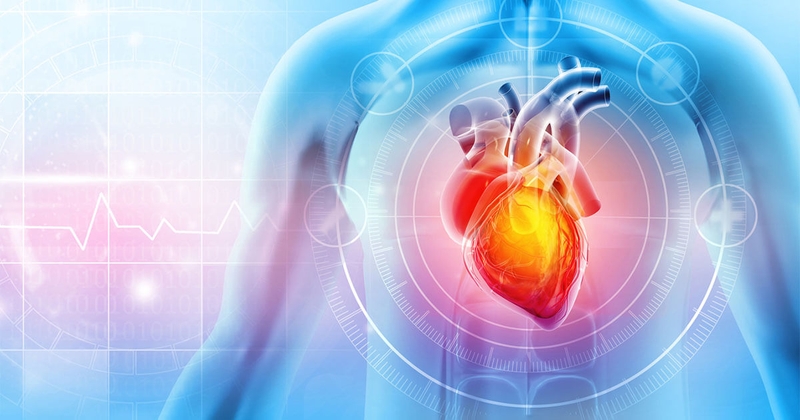 Trụy mạch là gì? Nguyên nhân, triệu chứng và cách phòng ngừa2