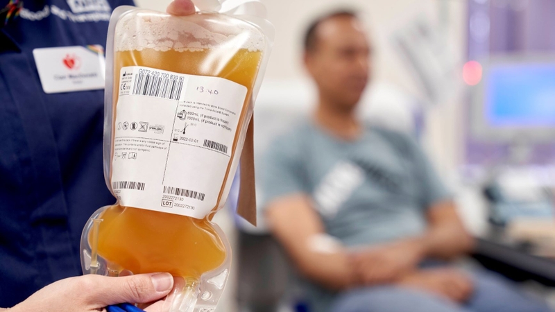 Hoạt chất chính trong dung dịch truyền là Albumin - một loại protein quan trọng với cơ thể