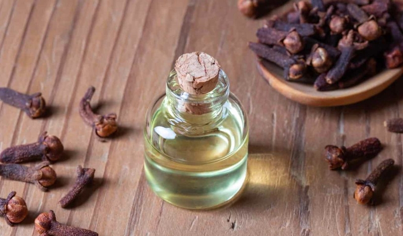 Tử đinh hương có công dụng gì với sức khỏe? Nhưng lưu ý khi sử dụng? 3