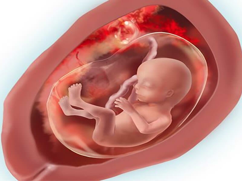 Những sự thay đổi của thai nhi 17 tuần không phải ai cũng biết 1