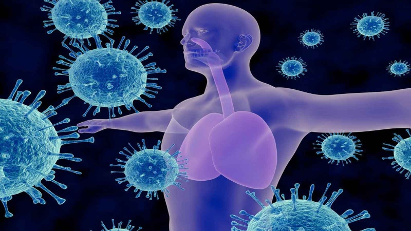 Túi mực của con mực có ăn được không​? Giải đáp thắc mắc 4