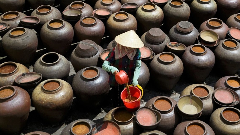 Tương bần: Thành phần dinh dưỡng và lợi ích sức khỏe 2