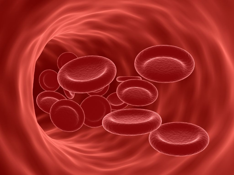 Tụt huyết áp ở người trẻ: Nguyên nhân, triệu chứng, cách xử trí và phòng ngừa 2