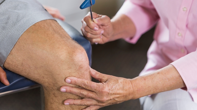 Tủy sống nằm ở đâu? Cấu tạo và chức năng của tủy sống 3