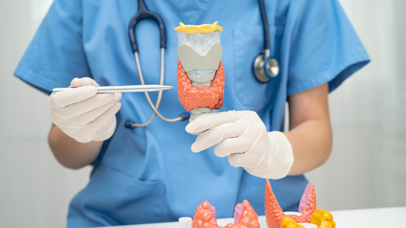 Nhóm đối tượng dễ mắc bệnh lý tuyến giáp cần thăm khám định kỳ