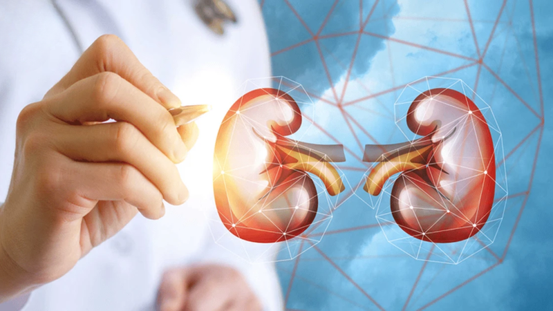 Tuyến thượng thận 1