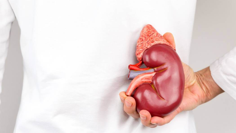 Tuyến thượng thận 9