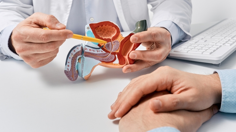 Tìm hiểu tổng quan tuyến tiền liệt là gì