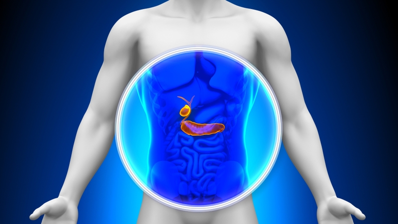 Tuyến tụy liên quan đến bệnh tiểu đường như thế nào? 1