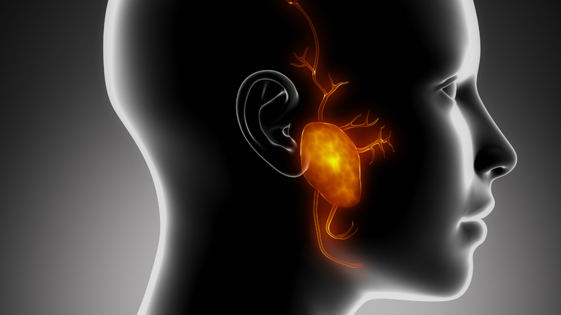 tuyen-yen-la-gi-kham-pha-chuc-nang-va-tam-quan-trong-trong-he-noi-tiet 1.png