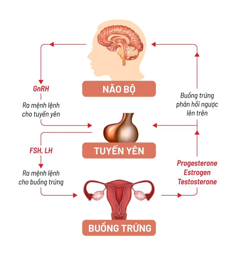 tuyen-yen-tiet-ra-nhung-chat-nao 4