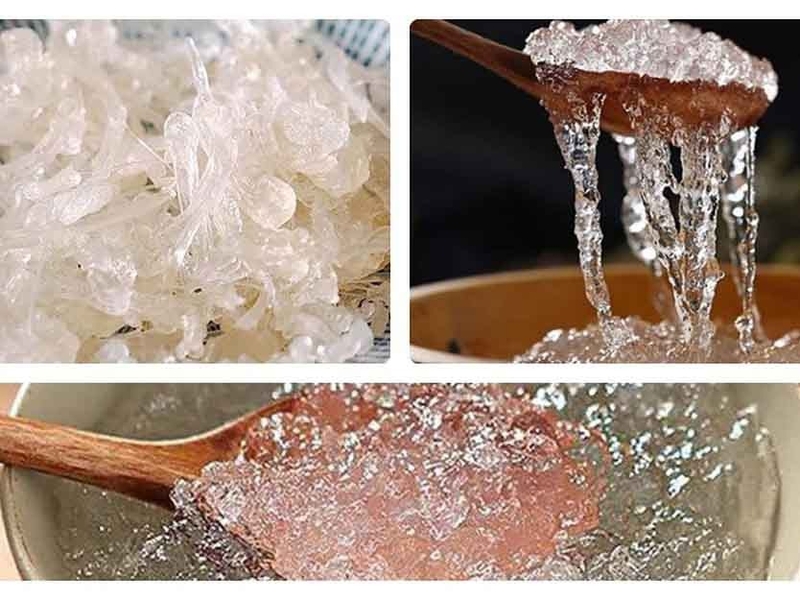 Tuyết yến chưng sữa tươi đẹp da, giữ dáng