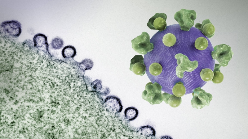 Tỷ lệ nhiễm HIV qua đường miệng cùng các biện pháp phòng tránh an toàn 1