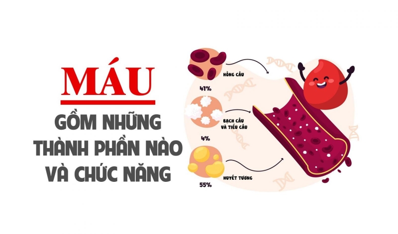 tỷ lệ nhóm máu ở việt nam 1
