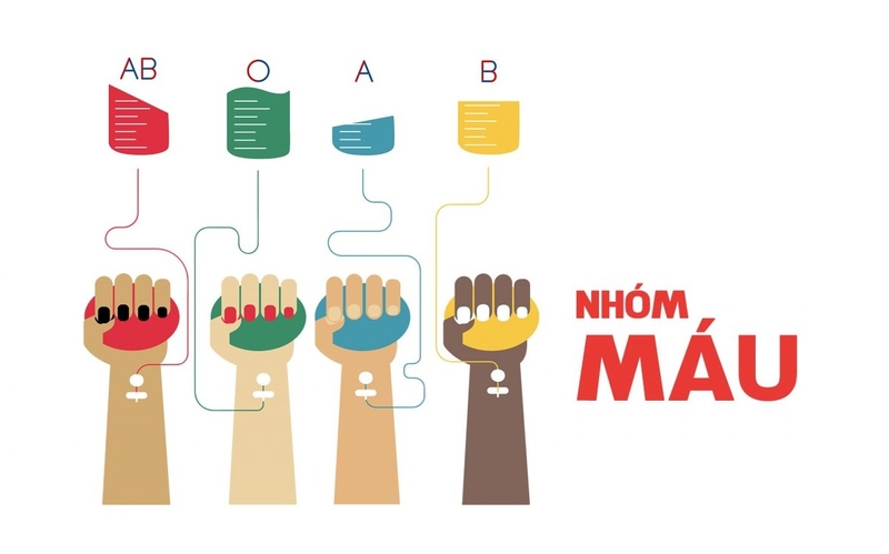 tỷ lệ nhóm máu ở việt nam 2