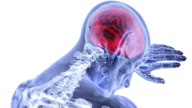 U máu thể hang là gì? Những vấn đề cần biết về U máu thể hang1.jpg