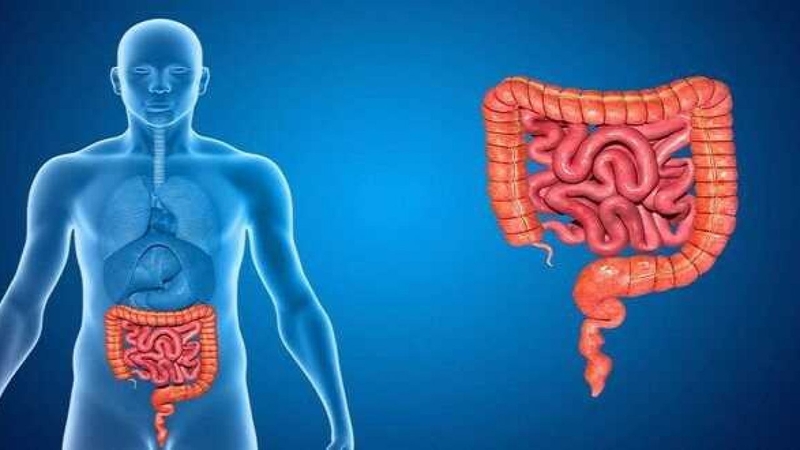 U mô đệm đường tiêu hóa (GIST): Những câu bệnh nhân nên hỏi đội ngũ chăm sóc y tế 1