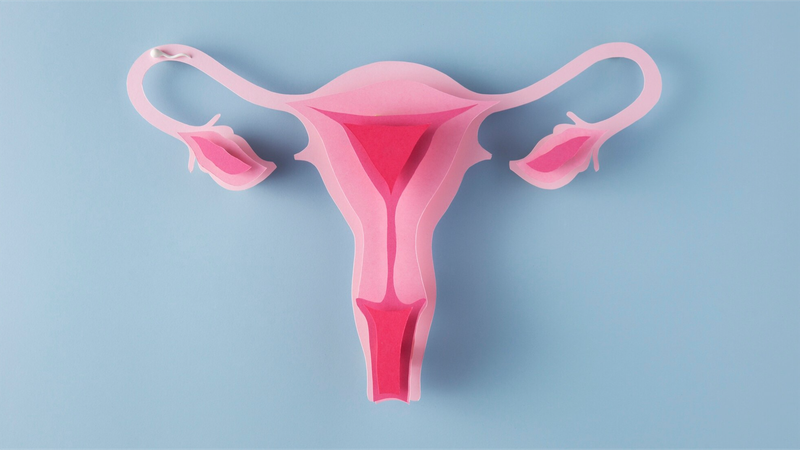 U nang buồng trứng là tình trạng khá phổ biến