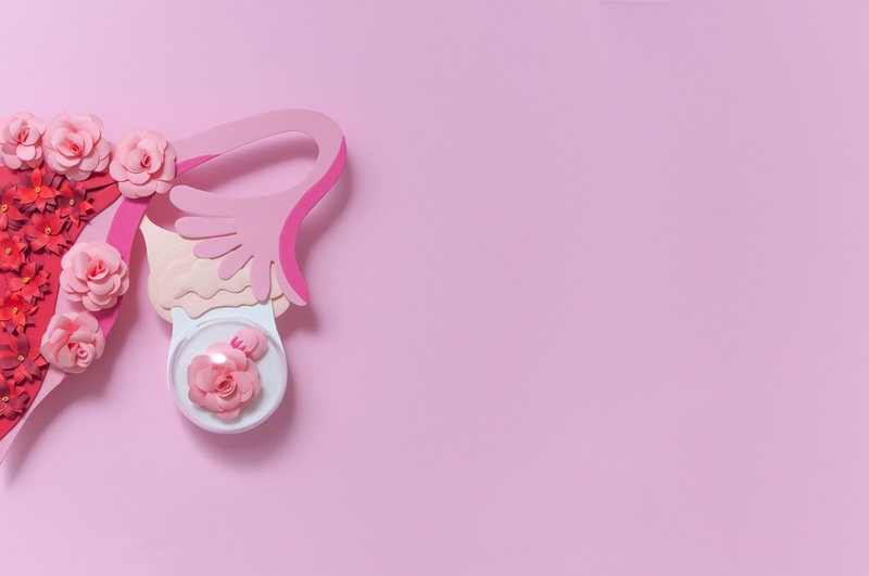 u nang buồng trứng dạng nước 2