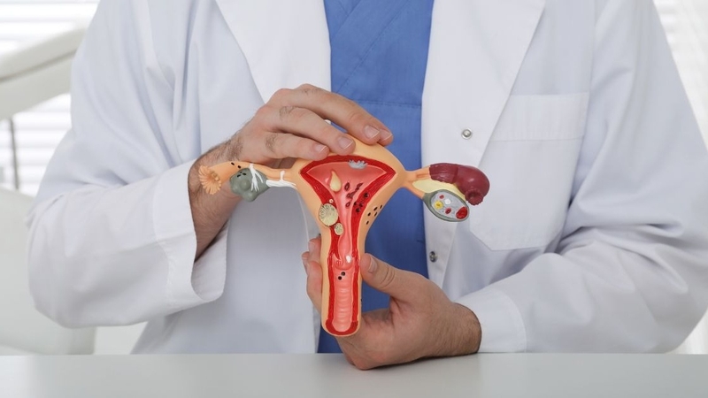 u-nang-buong-trung-nguy-co-tien-trien-thanh-ung-thu-buong-trung 1.jpg