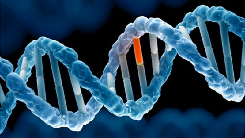 U nguyên bào võng mạc là gì? Nguyên nhân, triệu chứng và cách điều trị 5