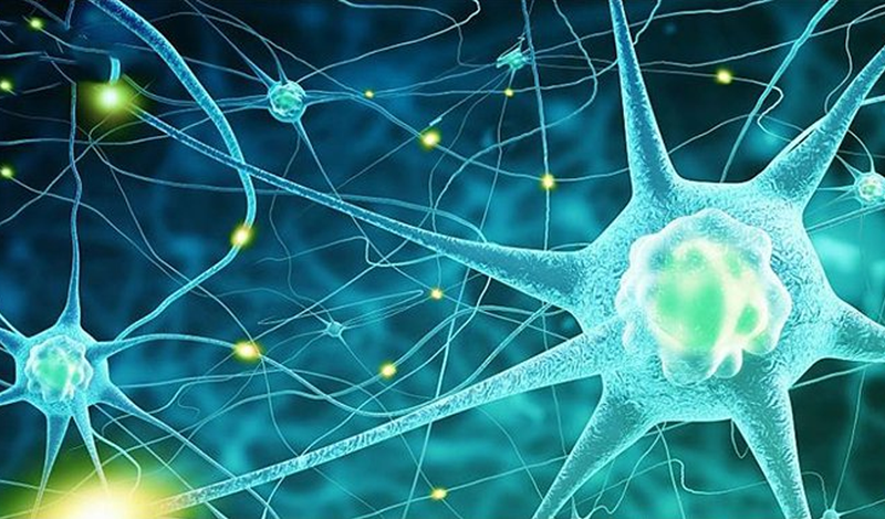 NF1 là bệnh lý di truyền