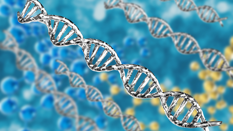 U sùi thể nấm: Nguyên nhân, triệu chứng và hướng điều trị 2